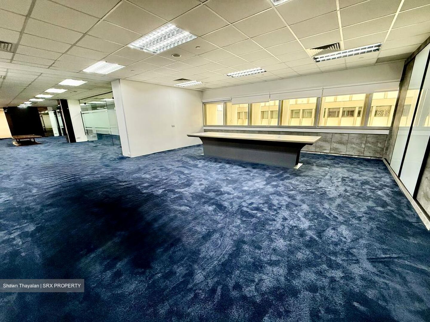 111 Somerset (D9), Office #528222231